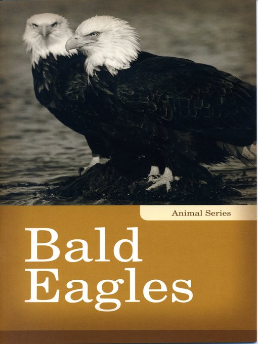 Title details for Bald Eagles by Linda Kita-Bradley - Wait list